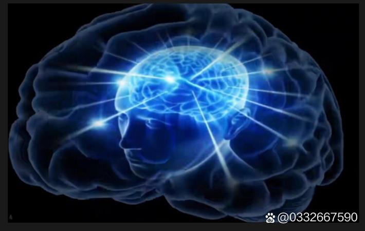 深度起底：某知名女星豪门婚姻背后的商业版图与利益纠葛
